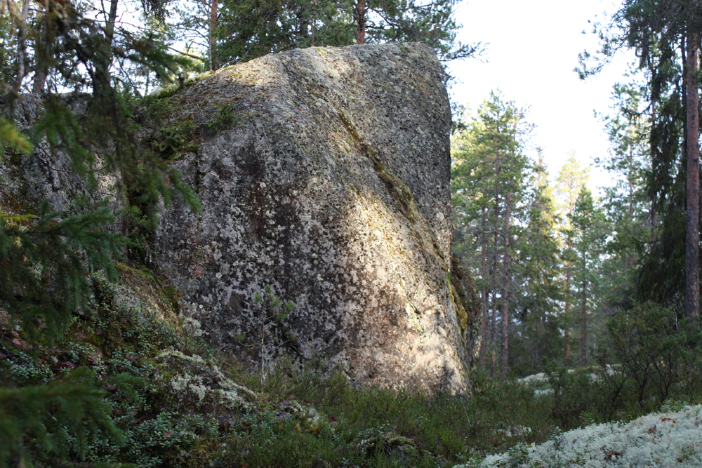 Maisema 1