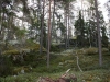 Maisema 3