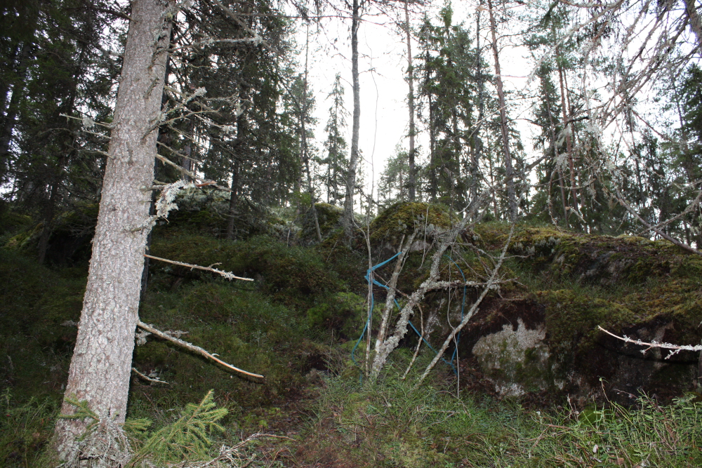 Maisema 4