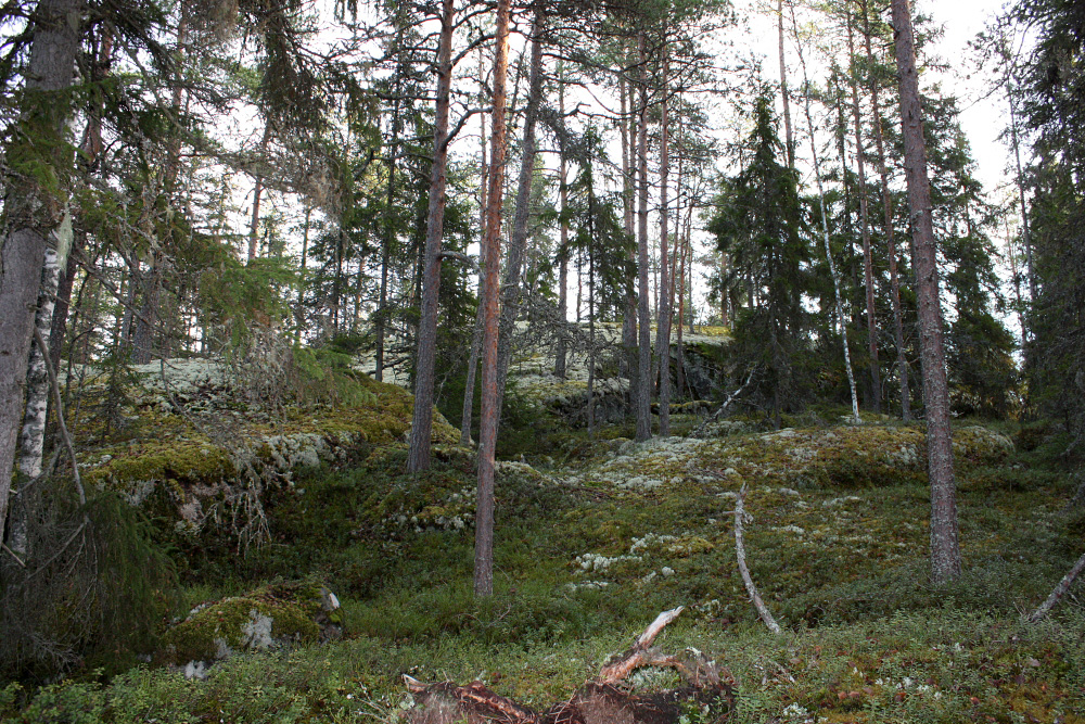 Maisema 3