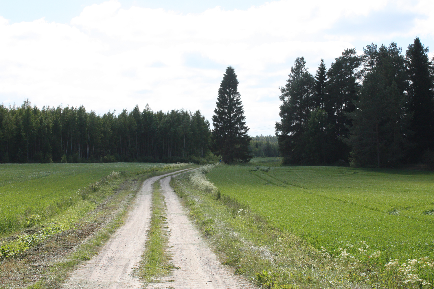 Matkalla kohteeseen 7