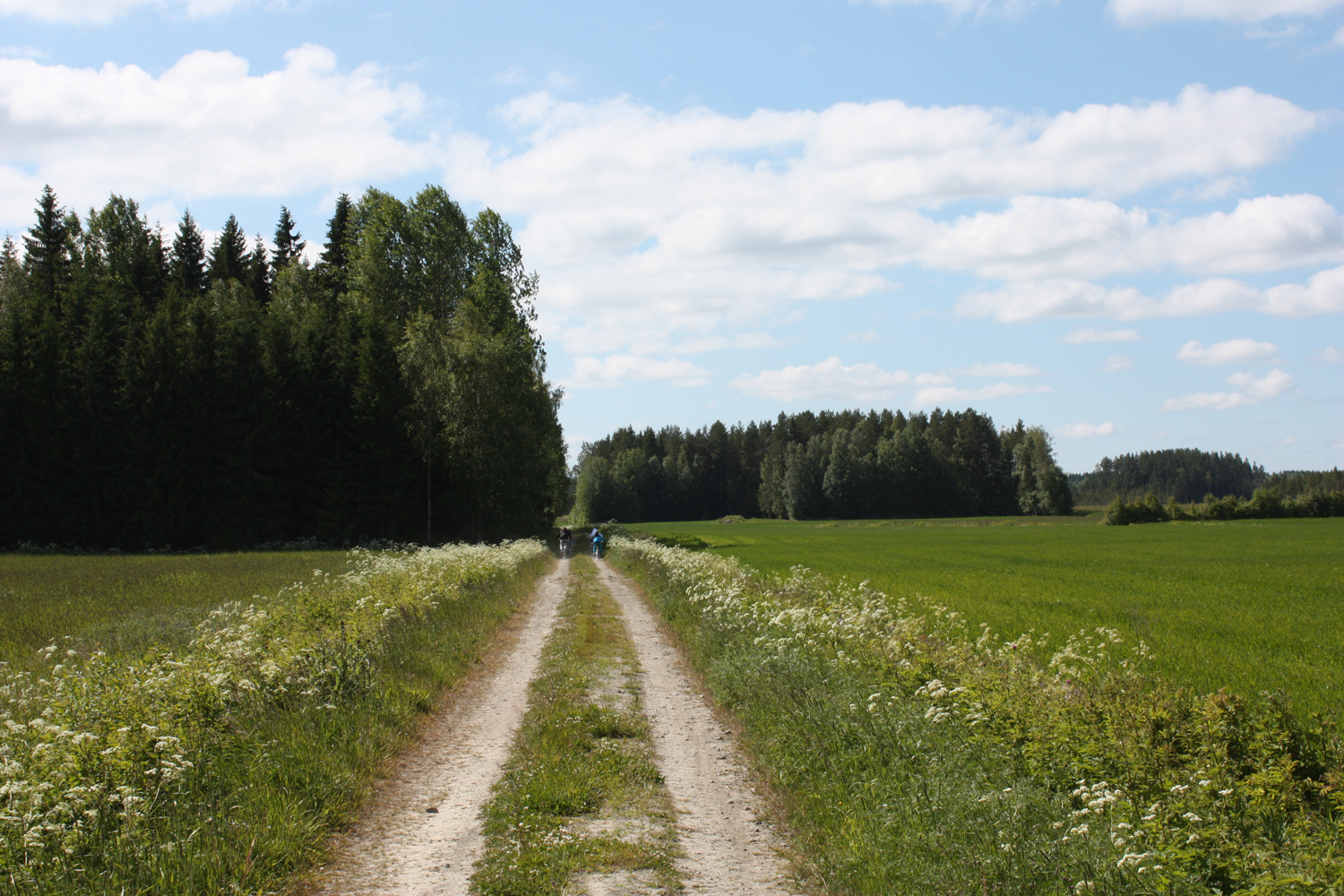 Matkalla kohteeseen 12