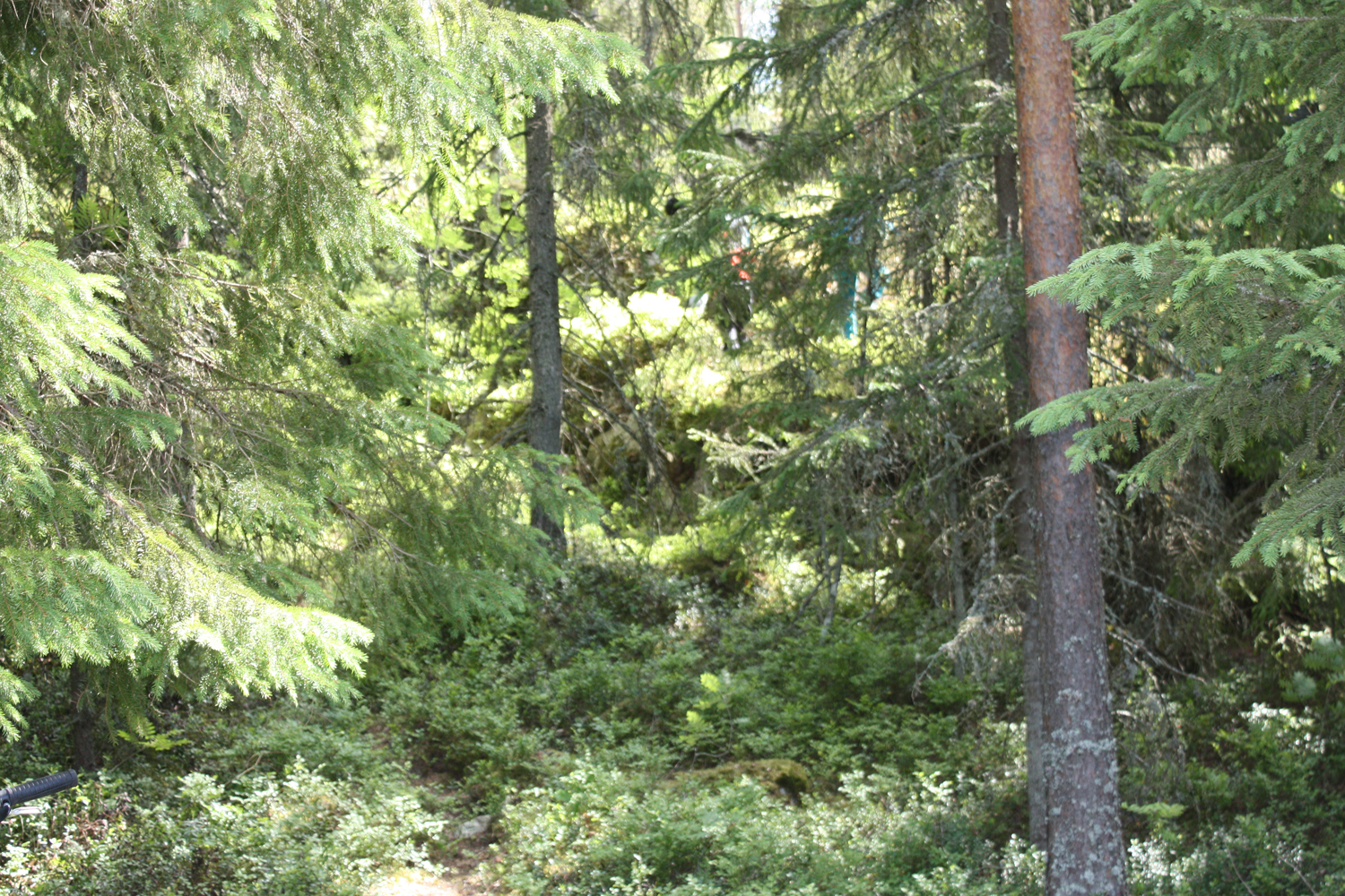 Matkalla kohteeseen 15