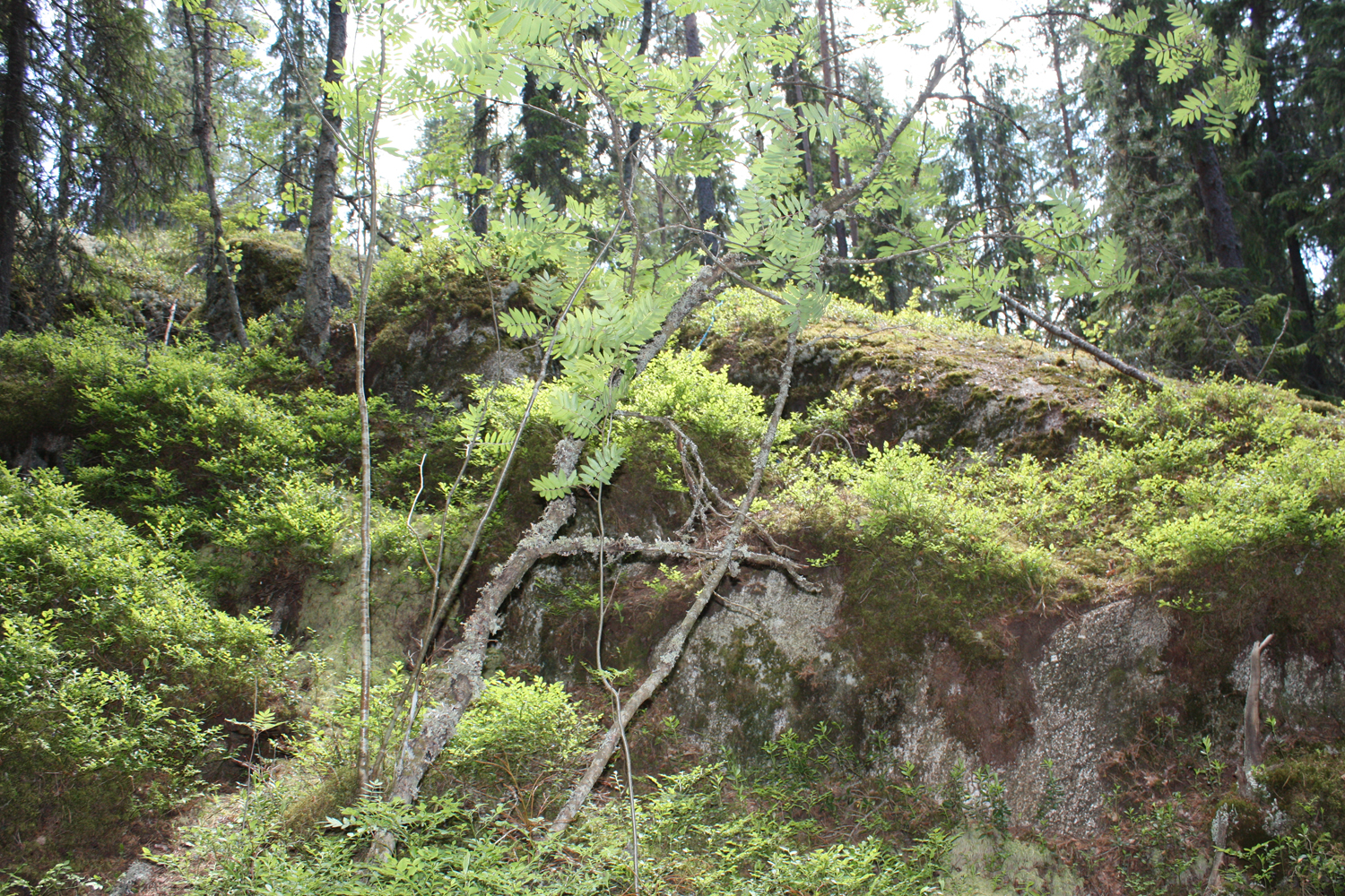 Matkalla kohteeseen 16