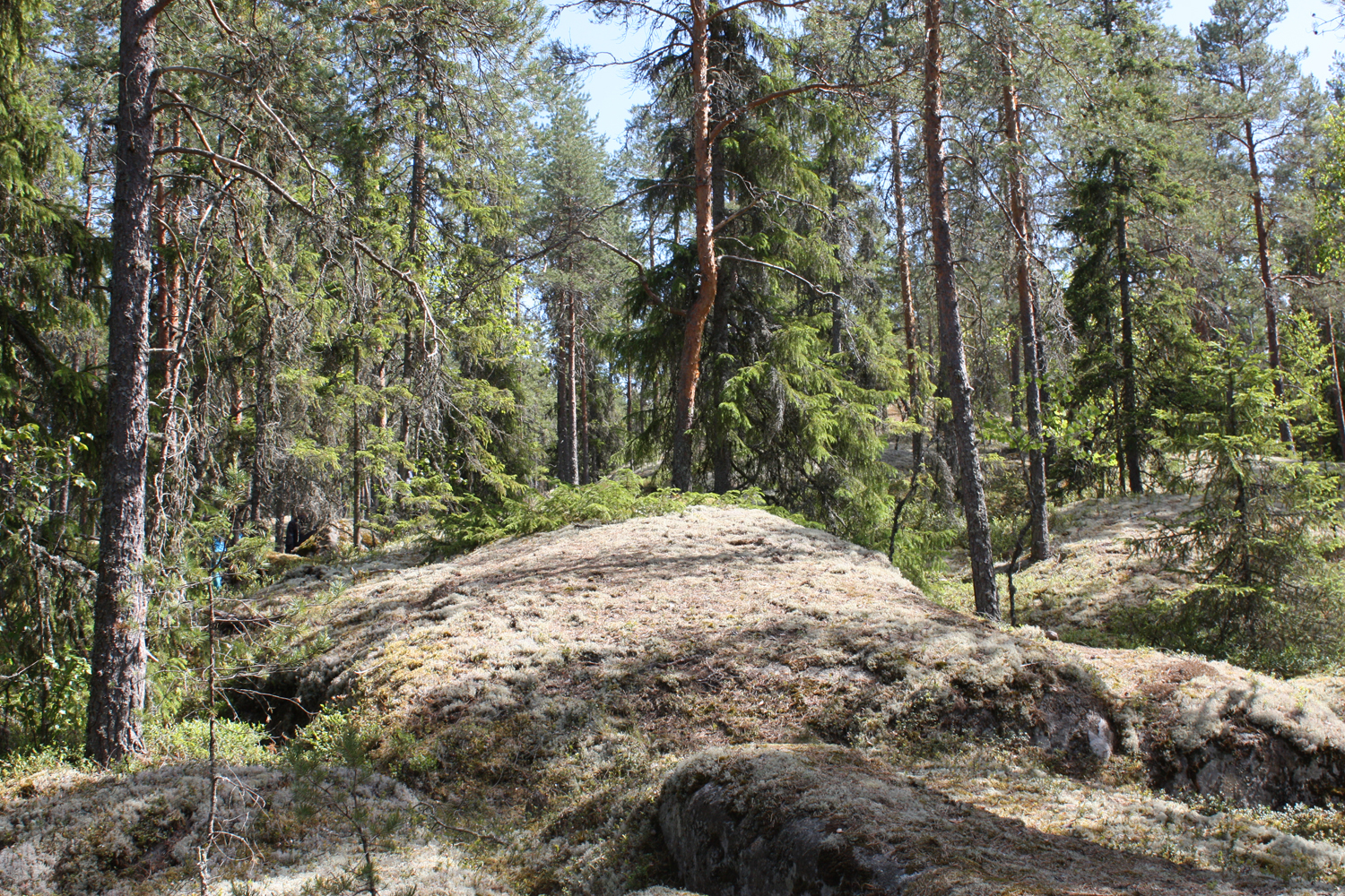 Matkalla kohteeseen 18
